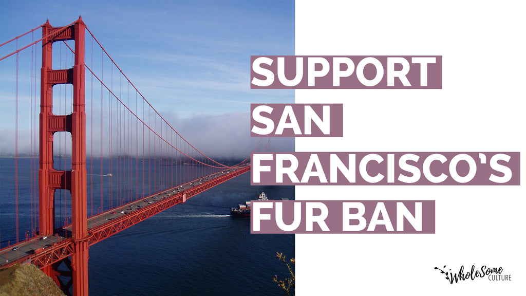 ACTION: Help San Francisco Go Furless - Sign the Petition Today!