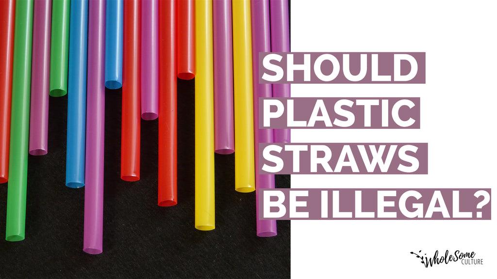 Plastic Straws: Illegal Unless Requested? One California Lawmaker Hopes So