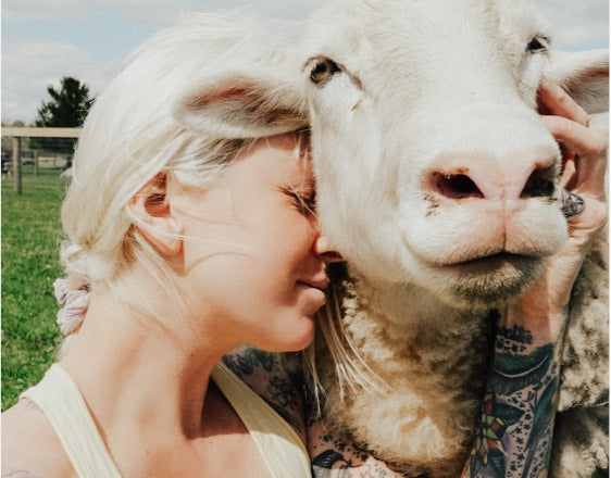 Rancho Relaxo sheep