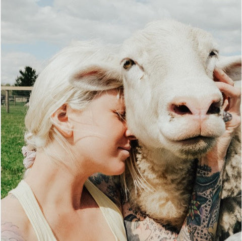 Rancho Relaxo sheep