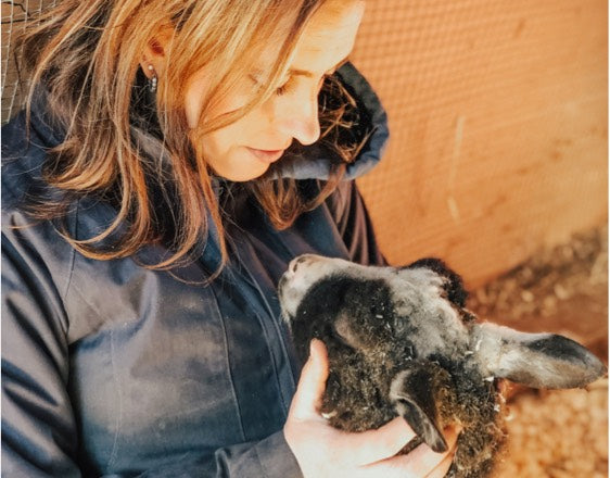 The Riley Farm Rescue goat